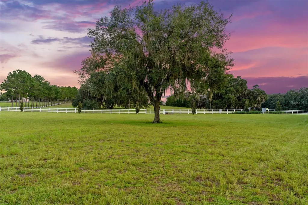 21679 SW 106th Lane Road Dunnellon FL 34431