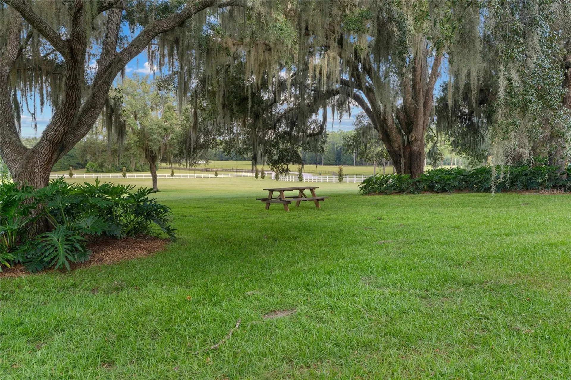 21679 SW 106th Lane Road Dunnellon FL 34431