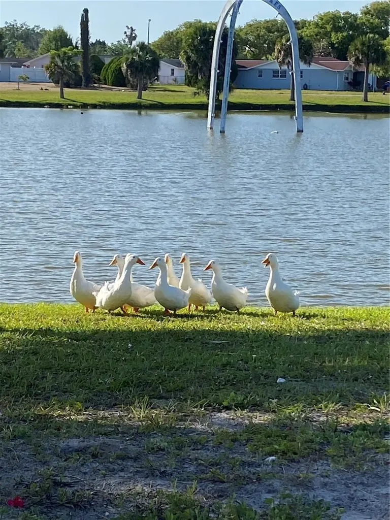 10401 Alice M Court Port Richey FL 34668