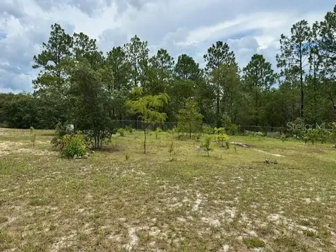 2551 SW Harbor Hills Road Dunnellon FL 34431