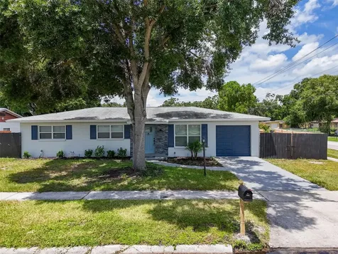 1501 Julian Lane Drive Tampa FL 33619