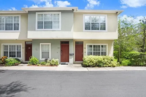5866 Nature Terrace Cove Tampa FL 33617