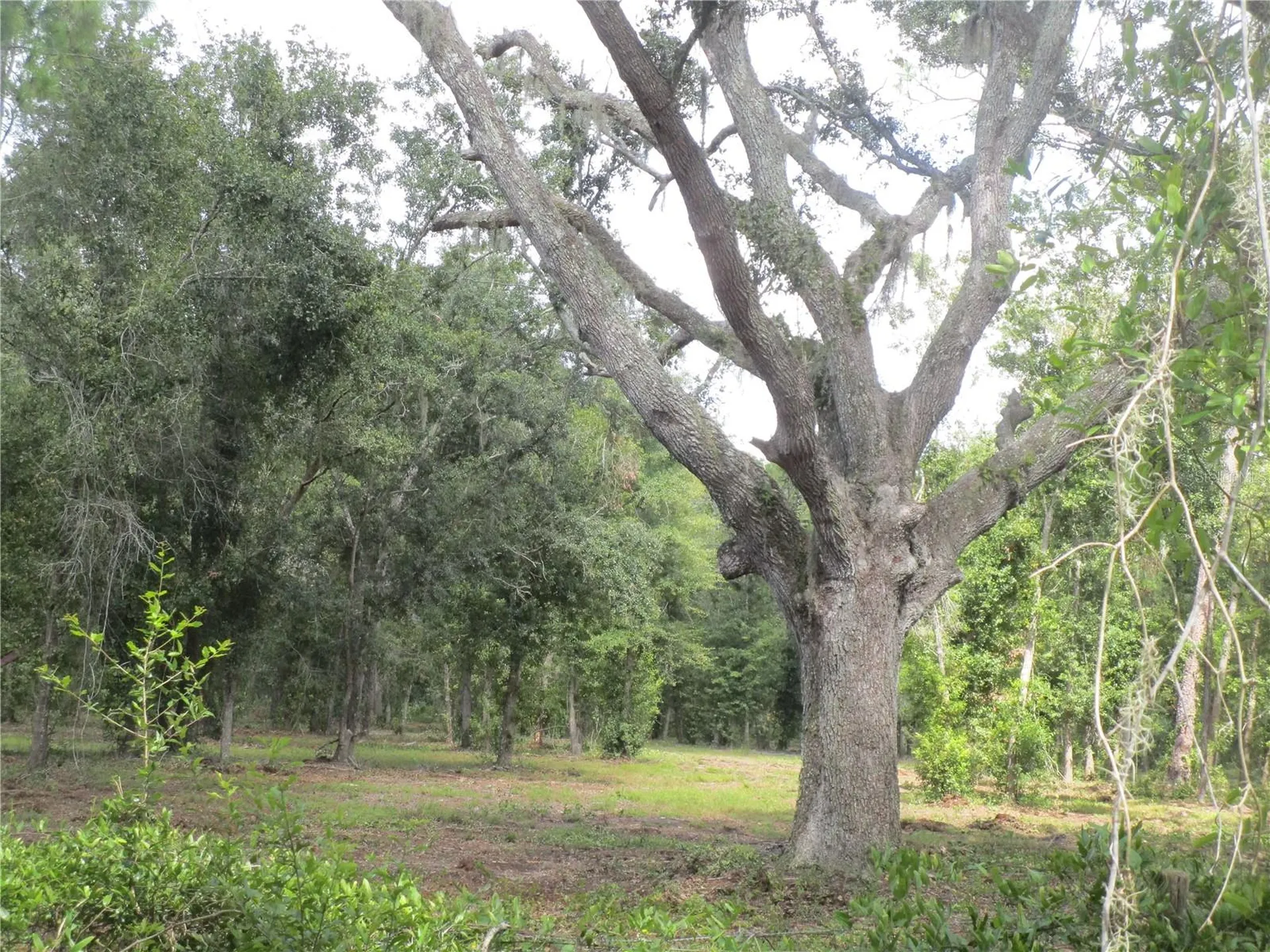 00 Castlewood Road Seffner FL 33584