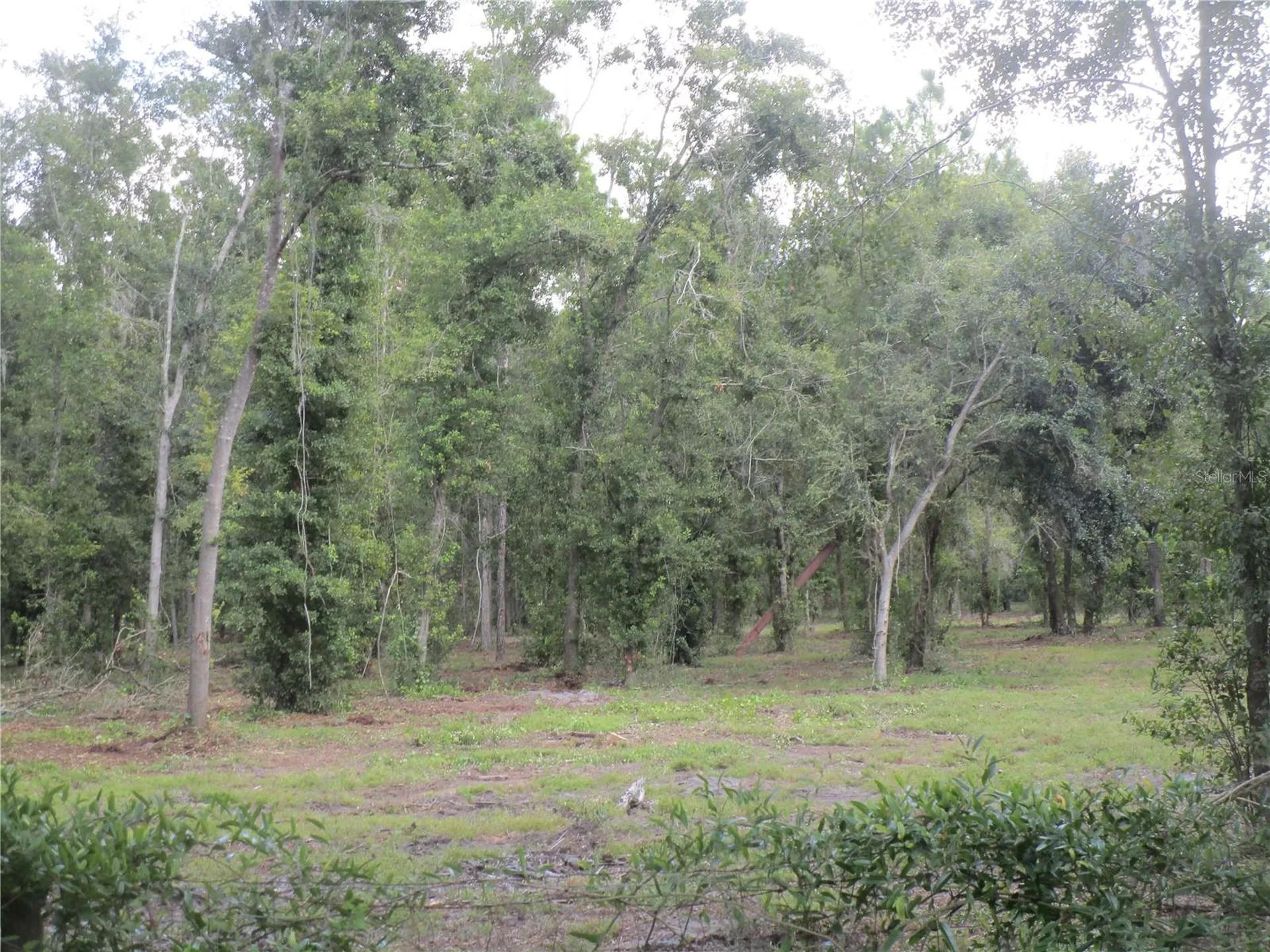 00 Castlewood Road Seffner FL 33584