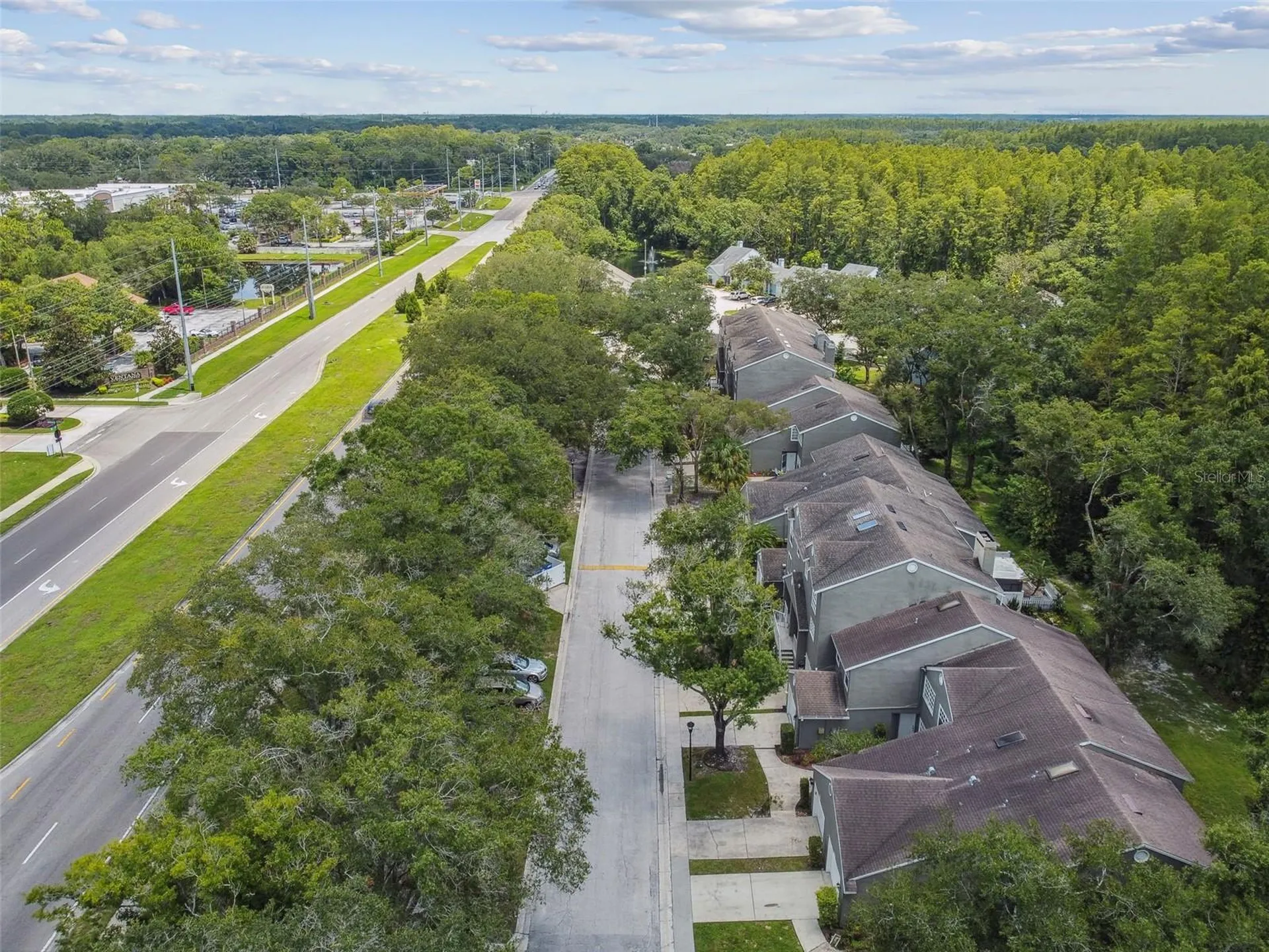 5854 Red Cedar Lane Tampa FL 33625