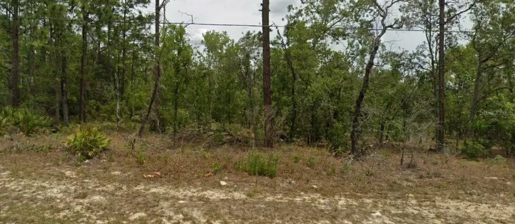 6627 N Bedstrow Boulevard Citrus Springs FL 34434