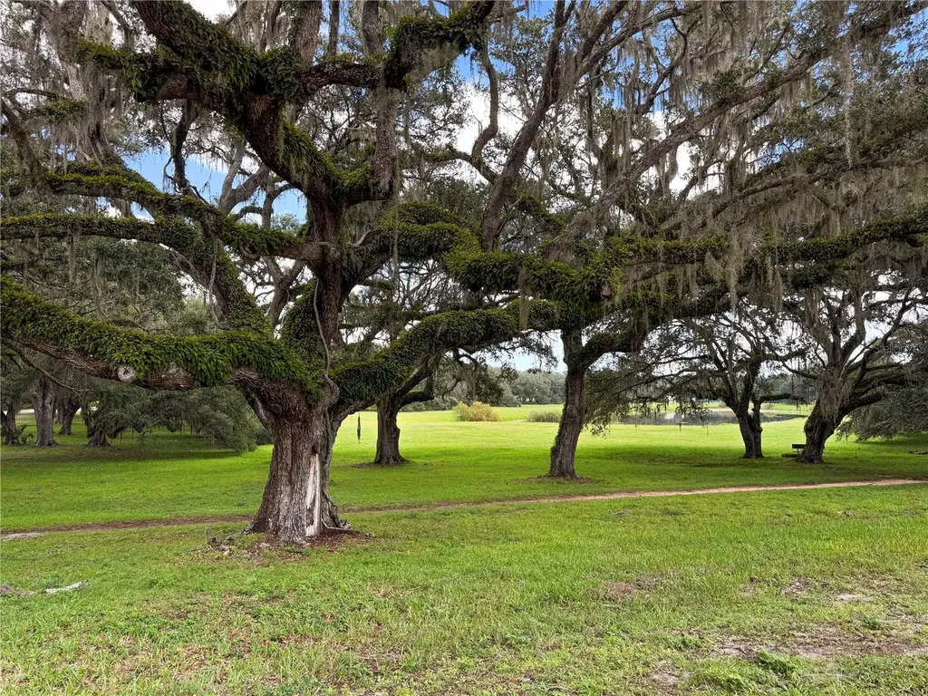 Tbd SW 134 Terrace Dunnellon FL 34432