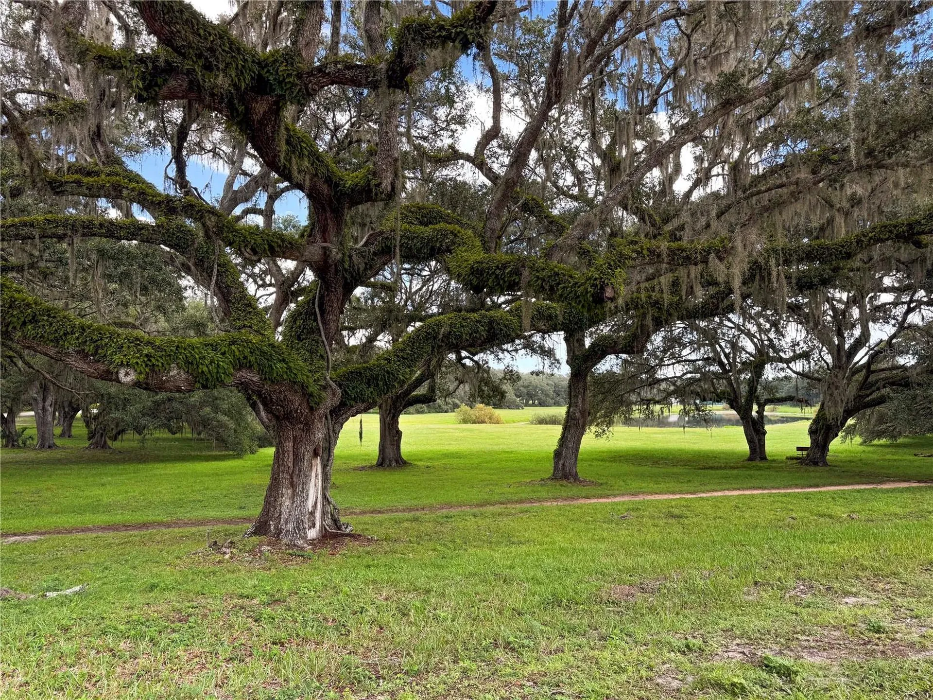 Tbd SW 134 Terrace Dunnellon FL 34432