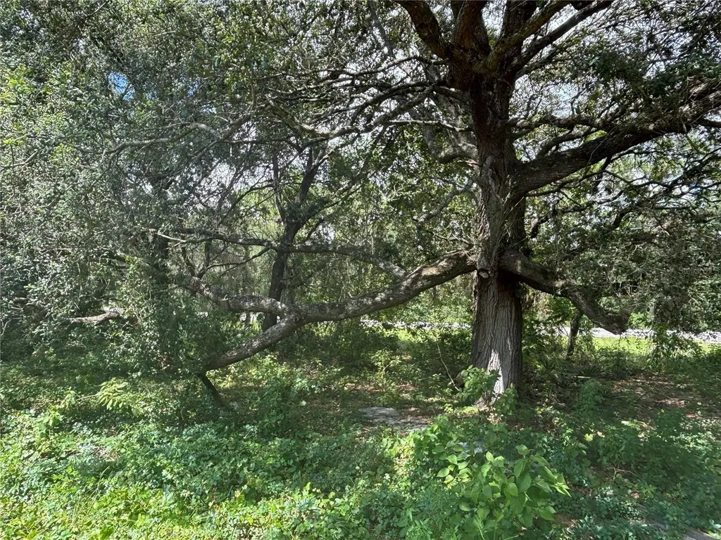 0 SE 180th Avenue Ocklawaha FL 32179