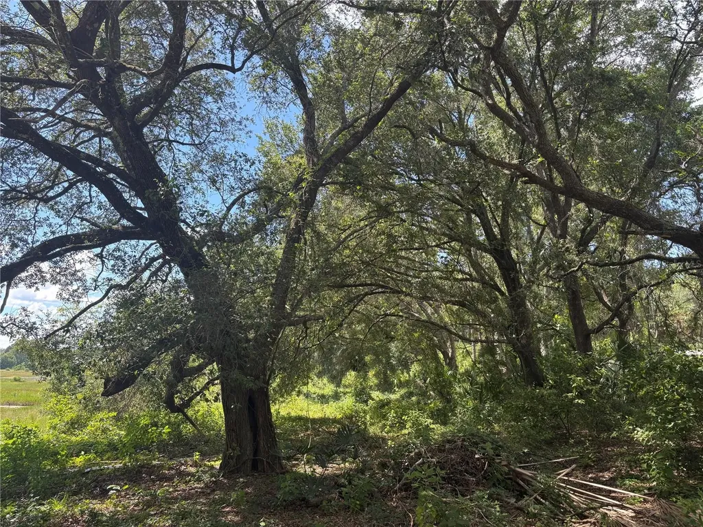 0 SE 180th Avenue Ocklawaha FL 32179