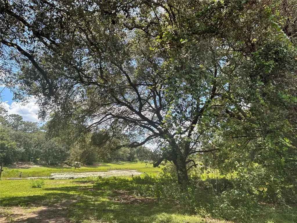 0 SE 180th Avenue Ocklawaha FL 32179