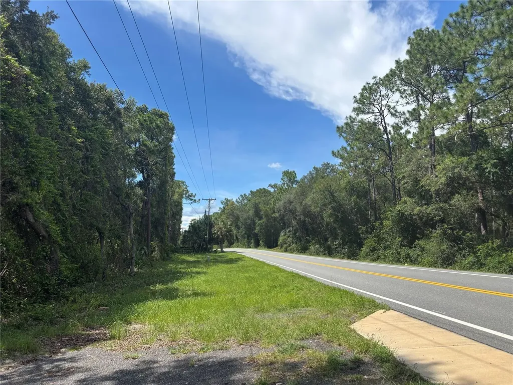 0 SE 180th Avenue Ocklawaha FL 32179