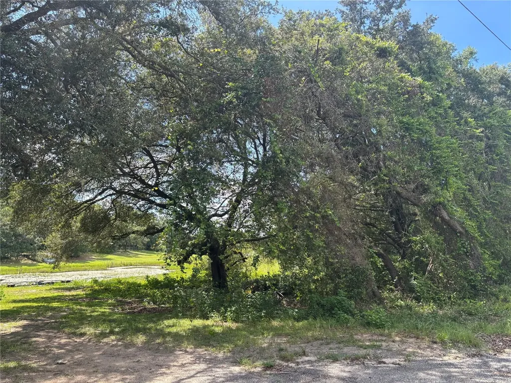 0 SE 180th Avenue Ocklawaha FL 32179