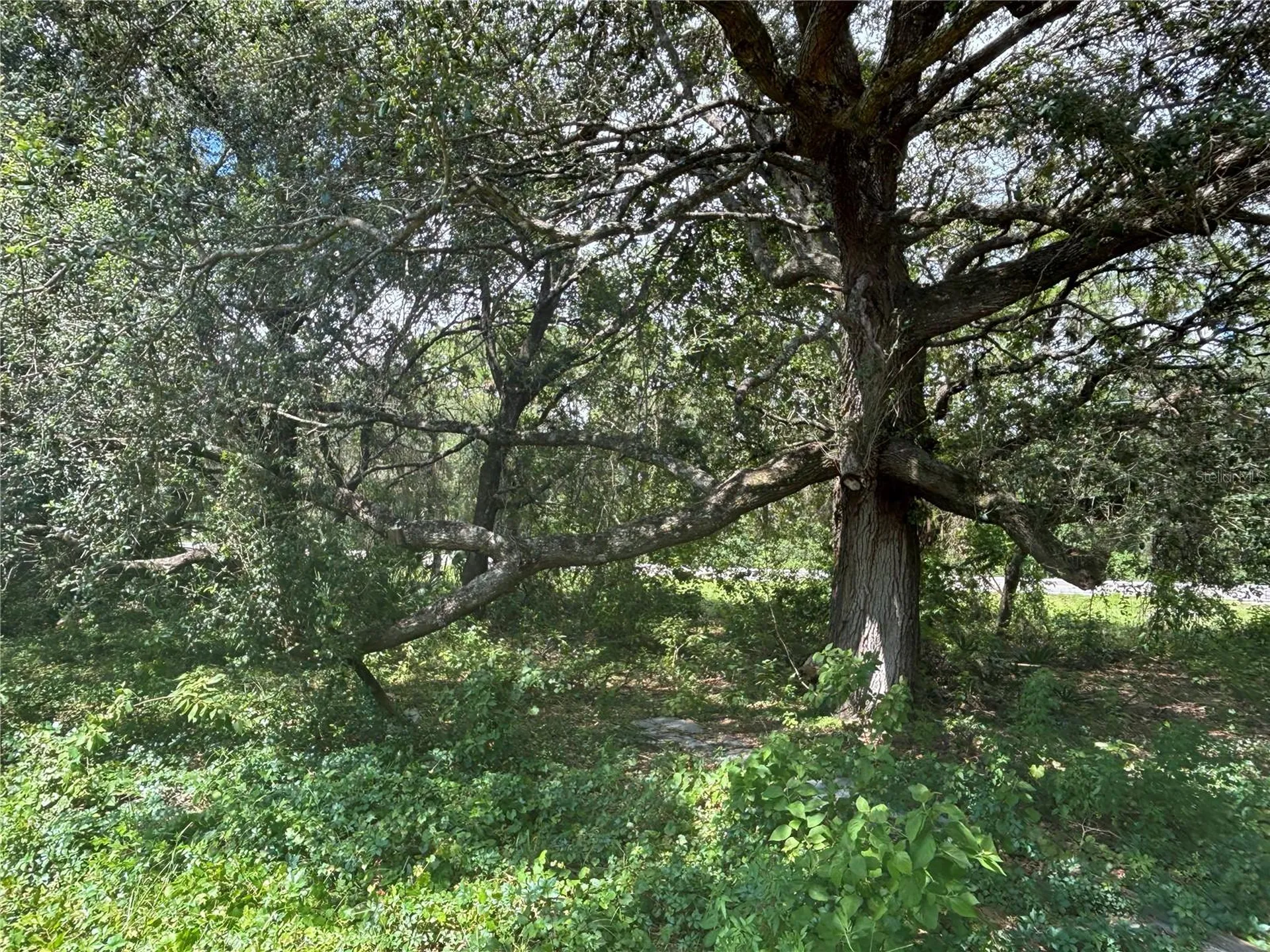 0 SE 180th Avenue Ocklawaha FL 32179