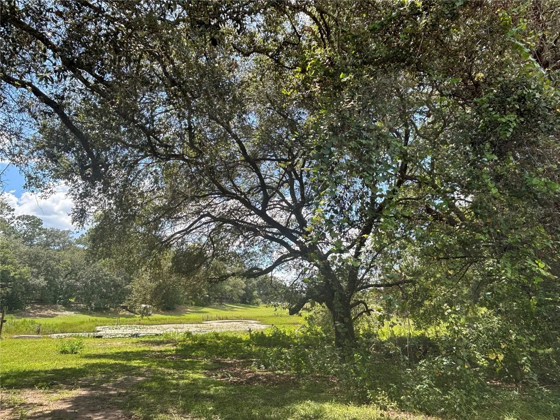 0 SE 180th Avenue Ocklawaha FL 32179