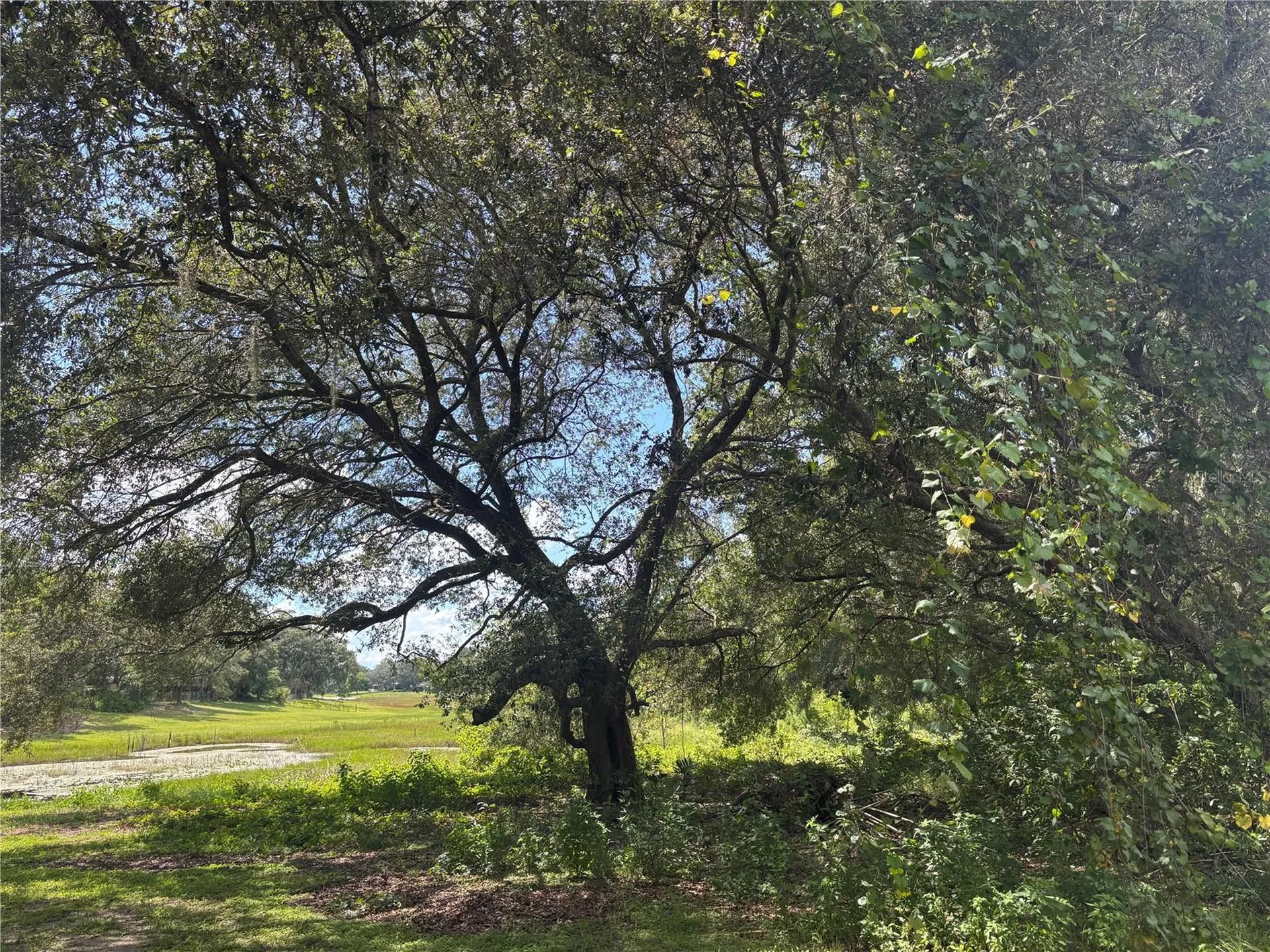 0 SE 180th Avenue Ocklawaha FL 32179