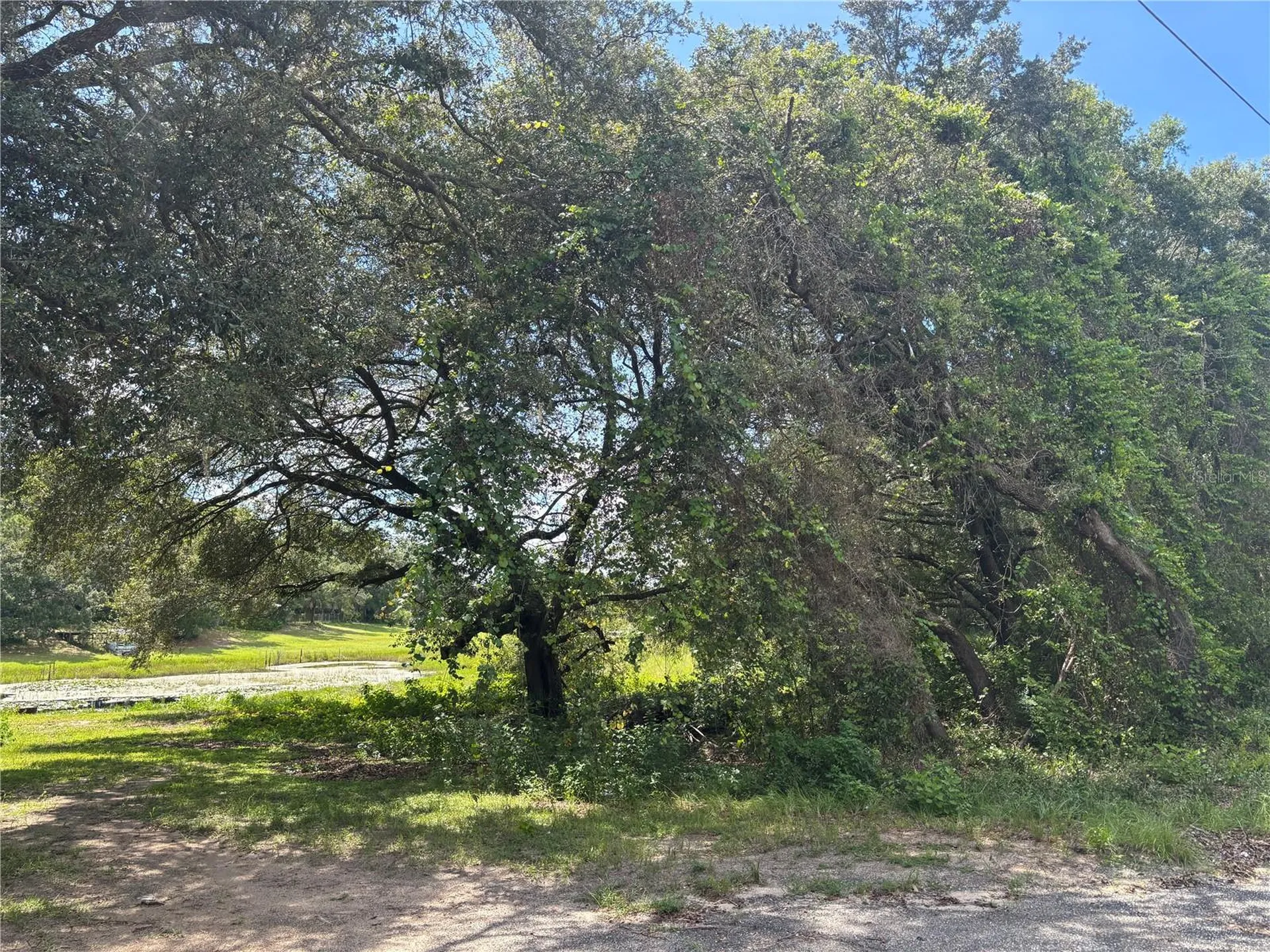 0 SE 180th Avenue Ocklawaha FL 32179
