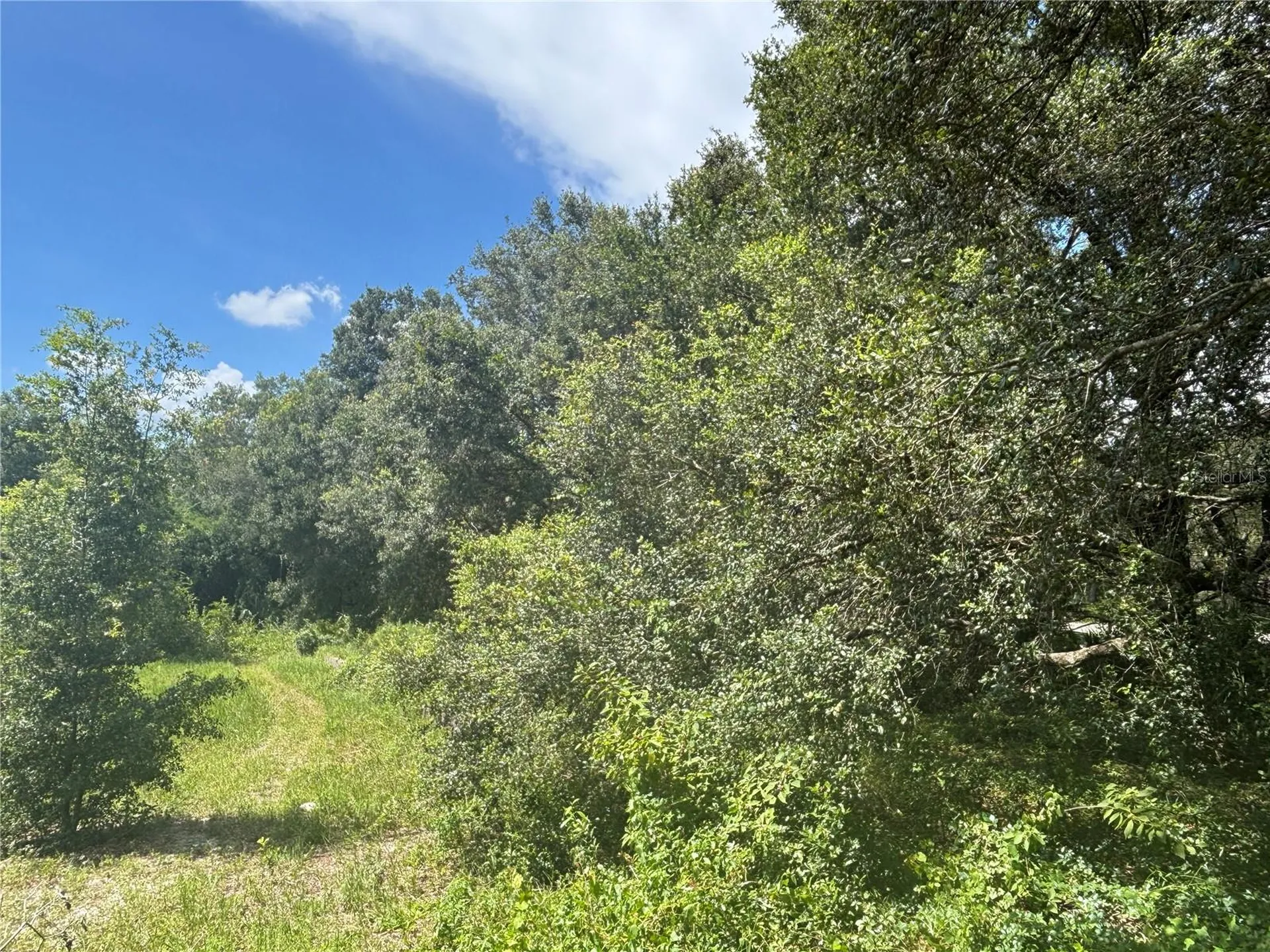 0 SE 180th Avenue Ocklawaha FL 32179