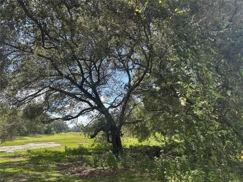 0 SE 180th Avenue Ocklawaha FL 32179