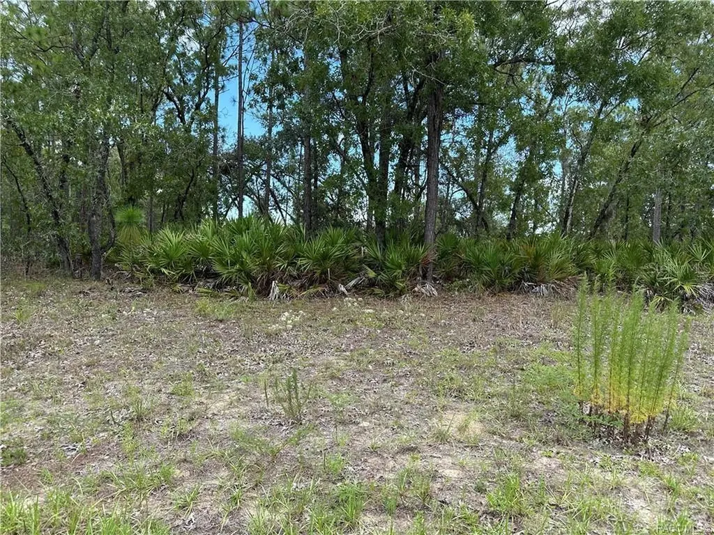 1195 W Hampshire Boulevard Citrus Springs FL 34434