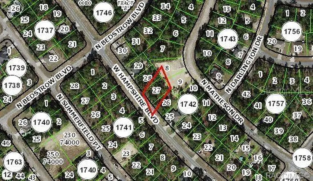 1195 W Hampshire Boulevard Citrus Springs FL 34434