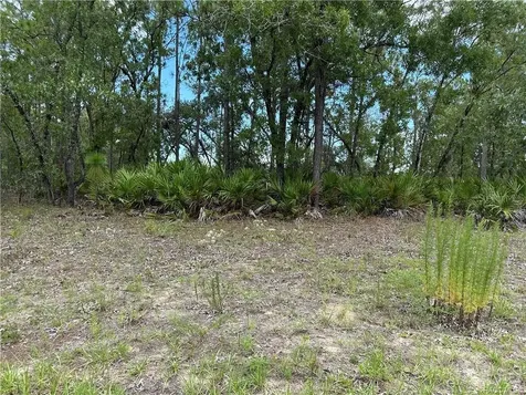 1195 W Hampshire Boulevard Citrus Springs FL 34434