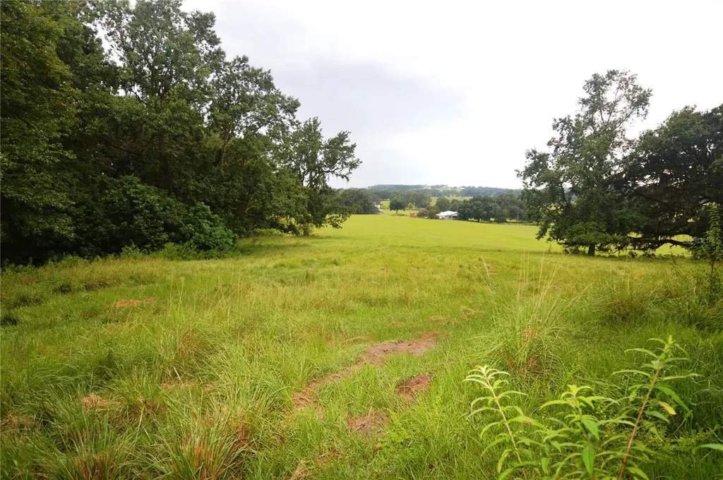 36641 Blanton Road Dade City FL 33523