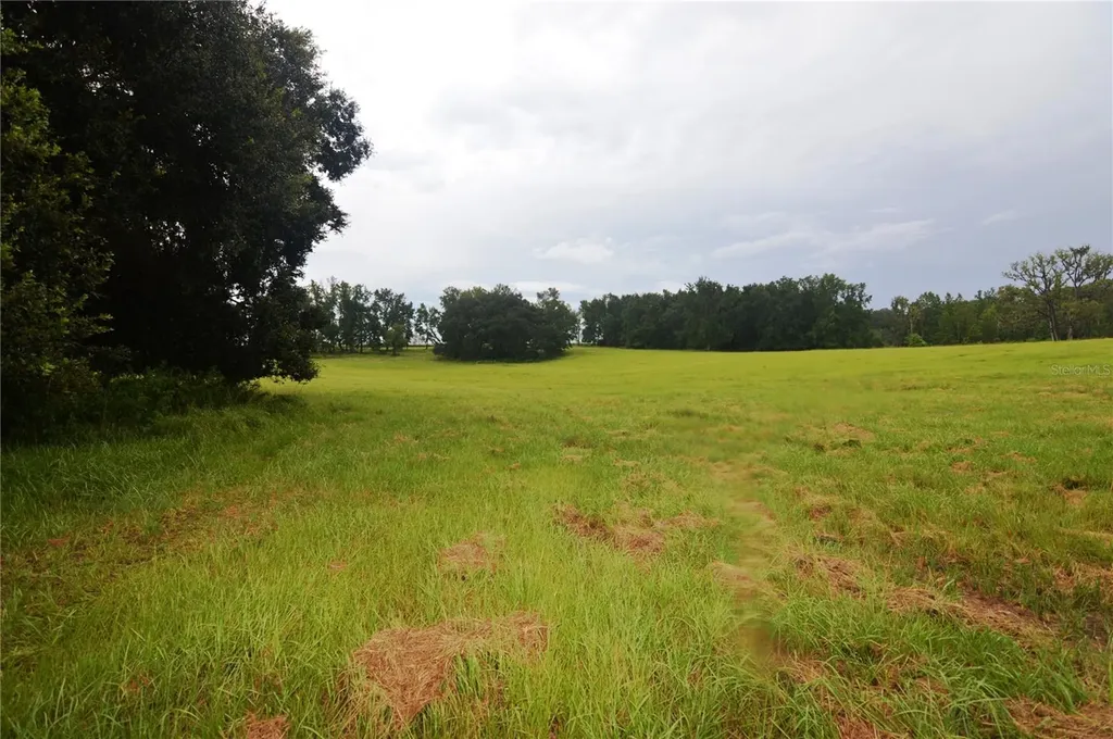 36641 Blanton Road Dade City FL 33523