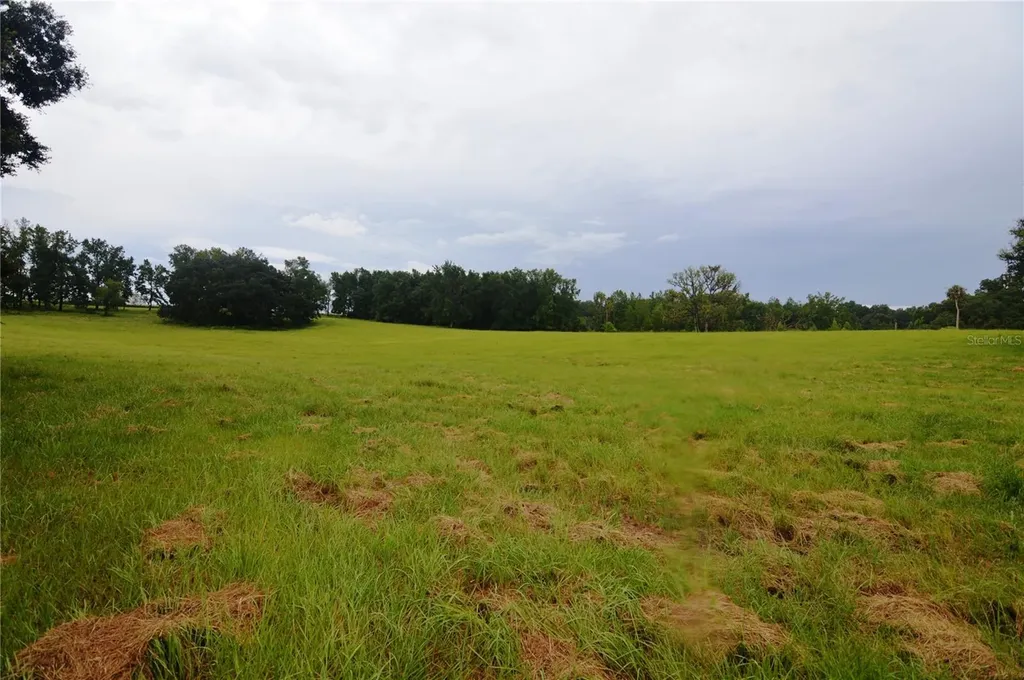 36641 Blanton Road Dade City FL 33523