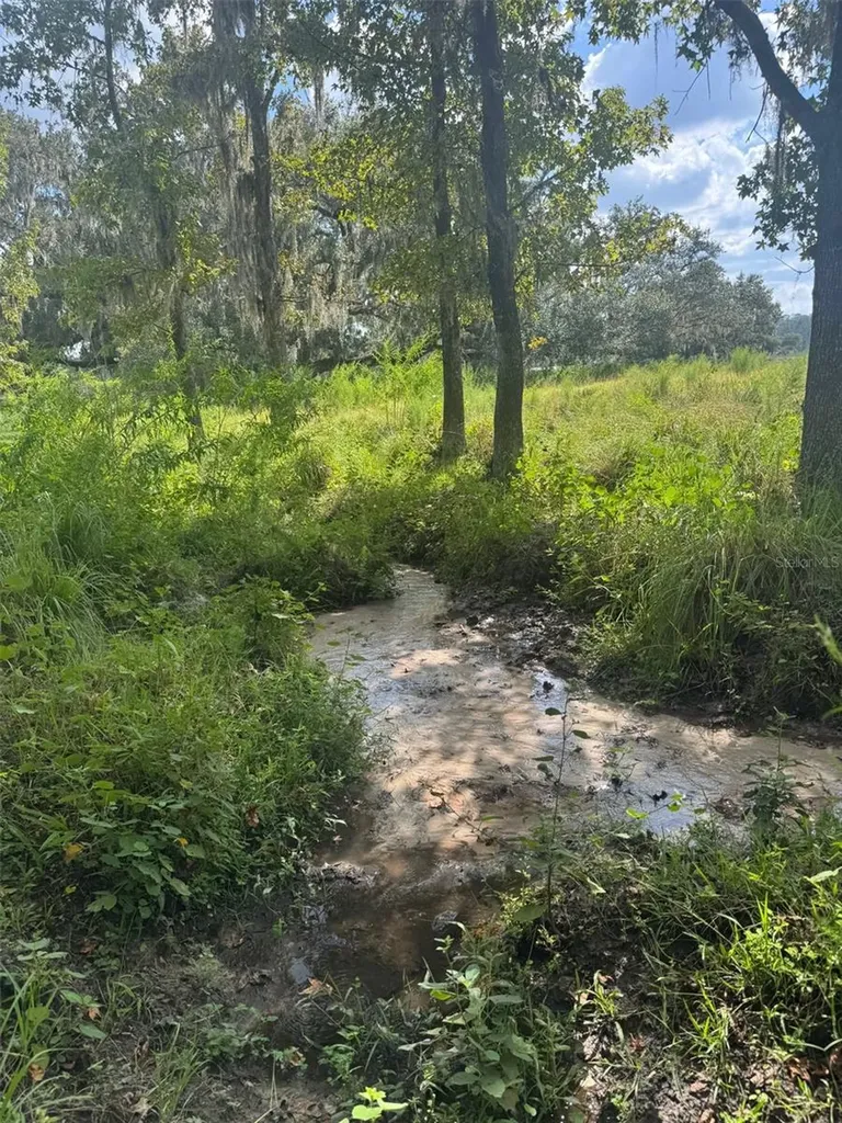 36641 Blanton Road Dade City FL 33523