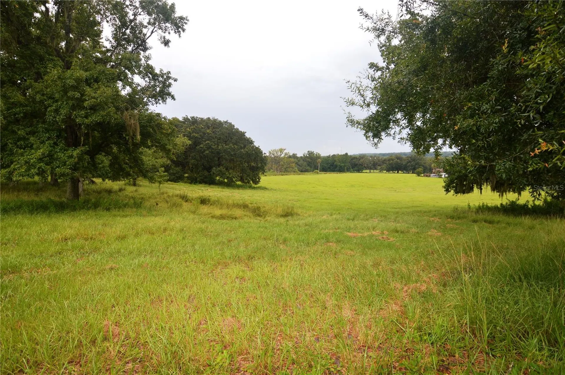 36641 Blanton Road Dade City FL 33523
