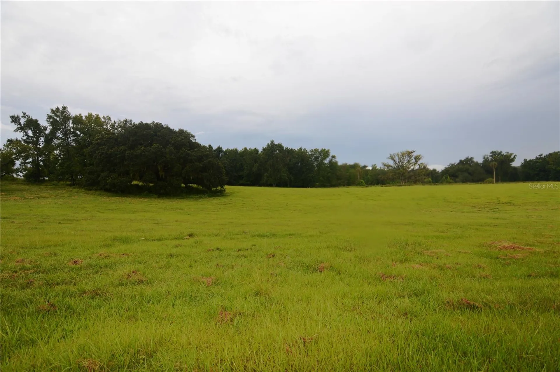 36641 Blanton Road Dade City FL 33523