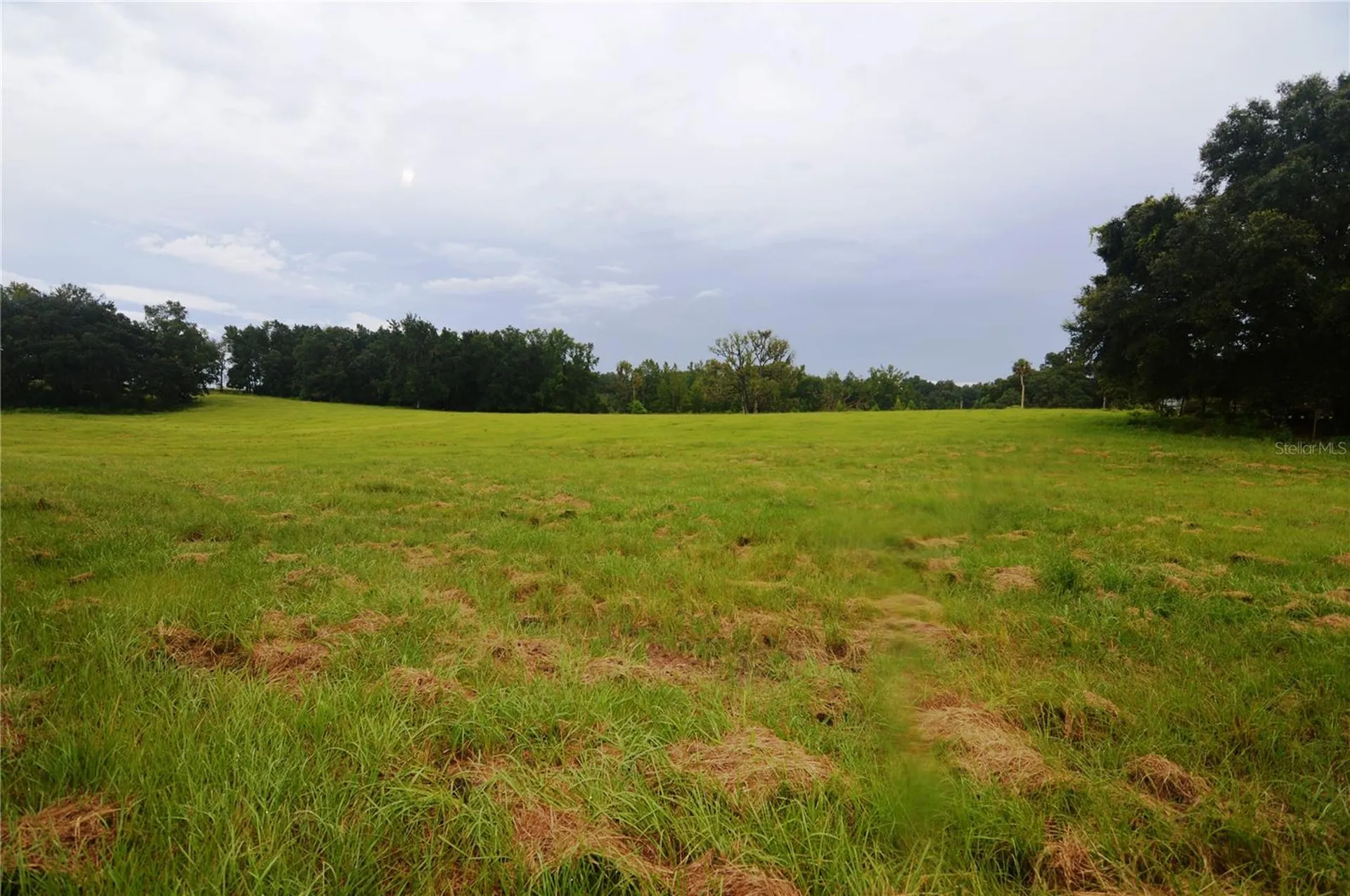 36641 Blanton Road Dade City FL 33523