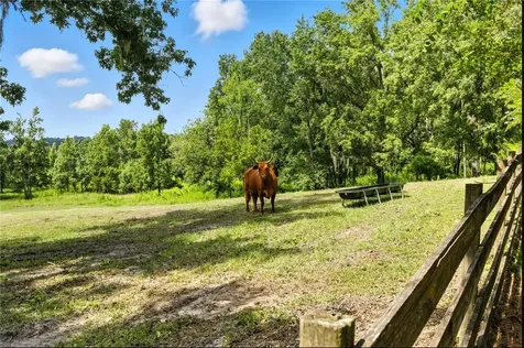 36641 Blanton Road Dade City FL 33523