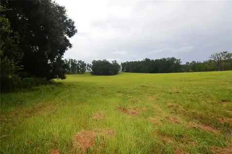 36641 Blanton Road Dade City FL 33523