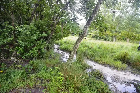 36641 Blanton Road Dade City FL 33523