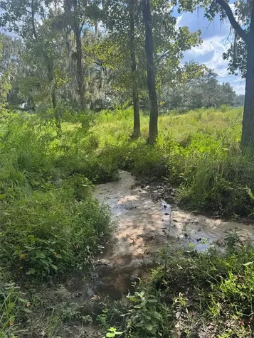 36641 Blanton Road Dade City FL 33523