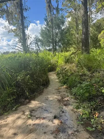 36641 Blanton Road Dade City FL 33523
