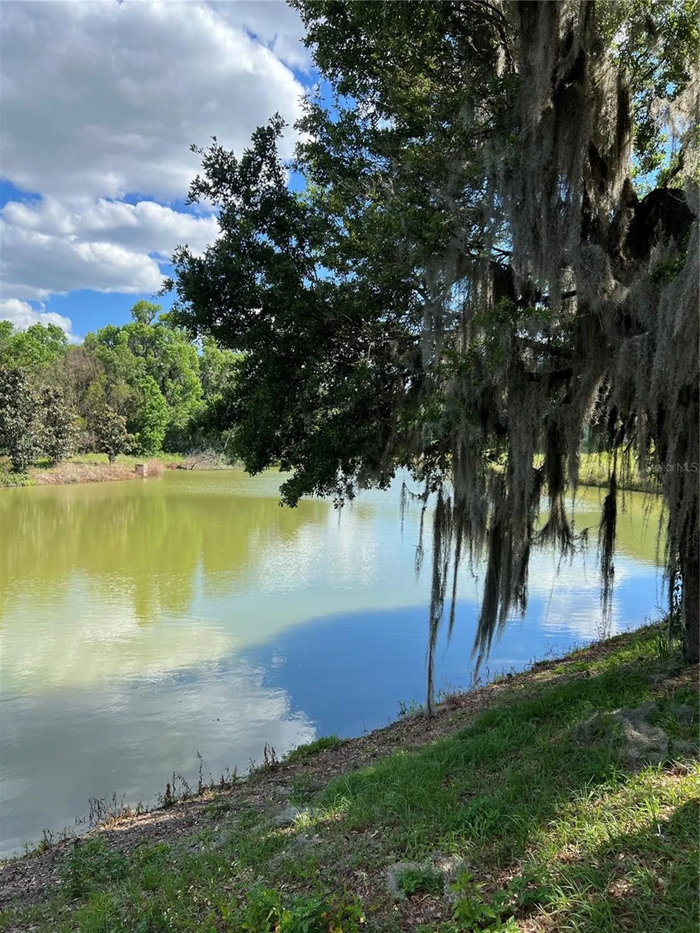 1569 NW 29th Road Gainesville FL 32605