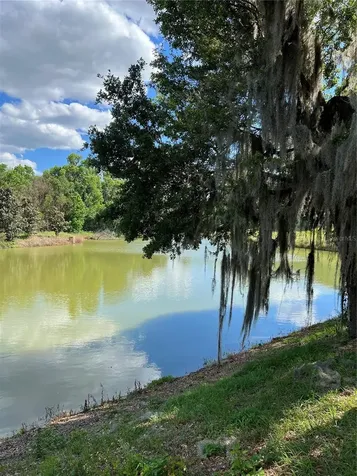 1569 NW 29th Road Gainesville FL 32605