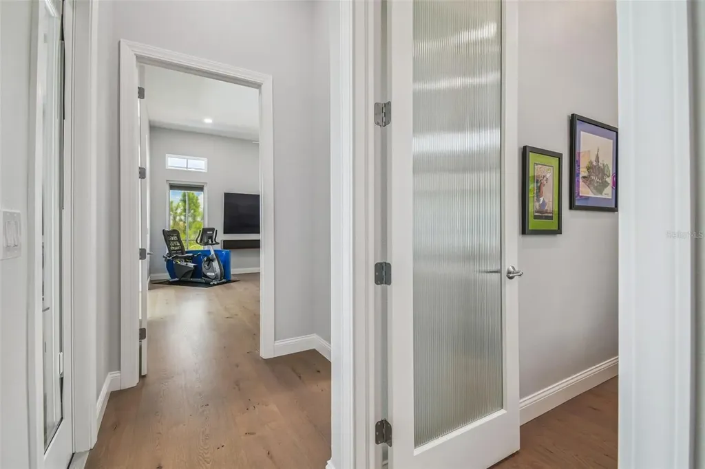 29171 Ginnetto Drive Wesley Chapel FL 33543