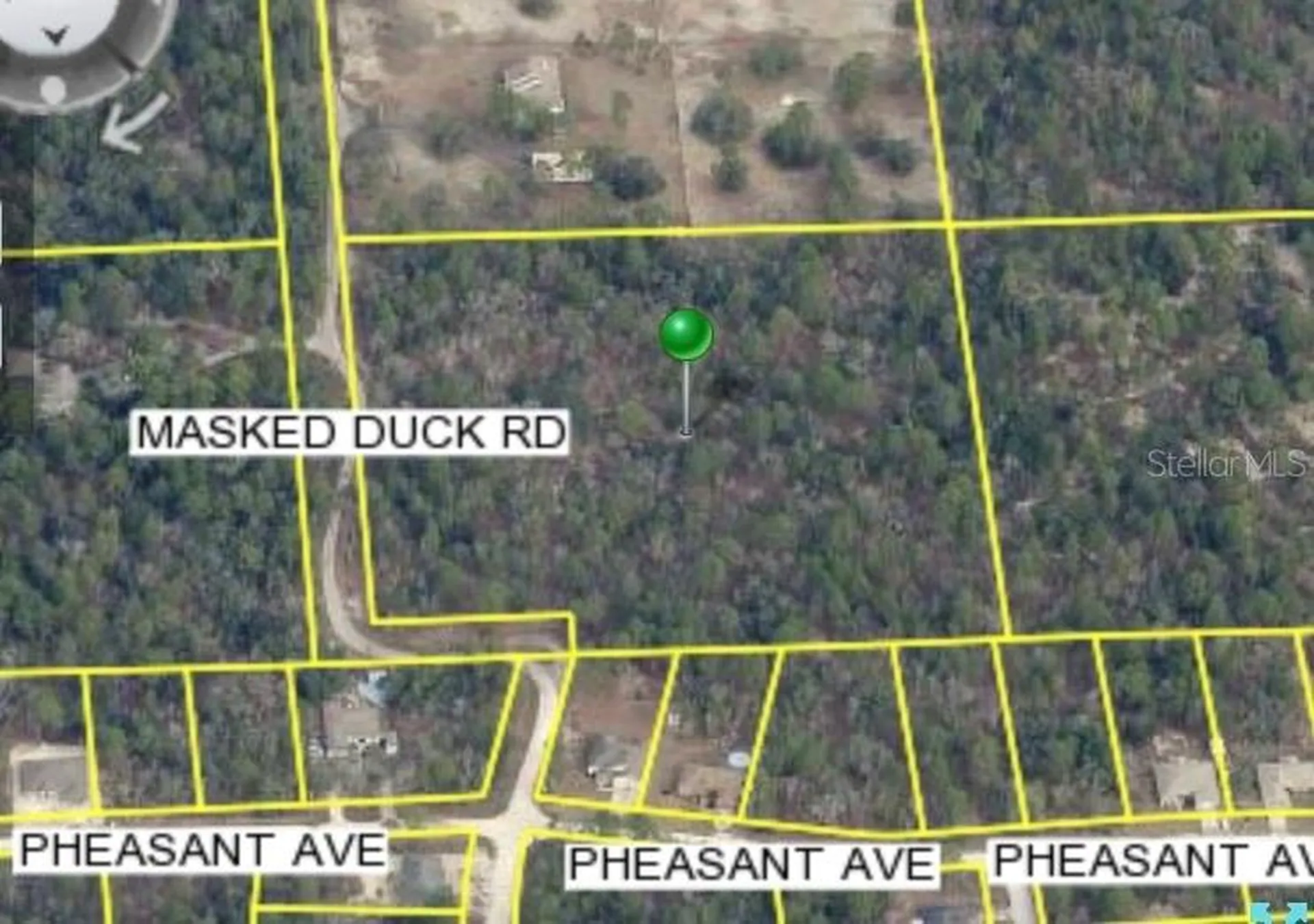 Masked Duck Road Brooksville FL 34614