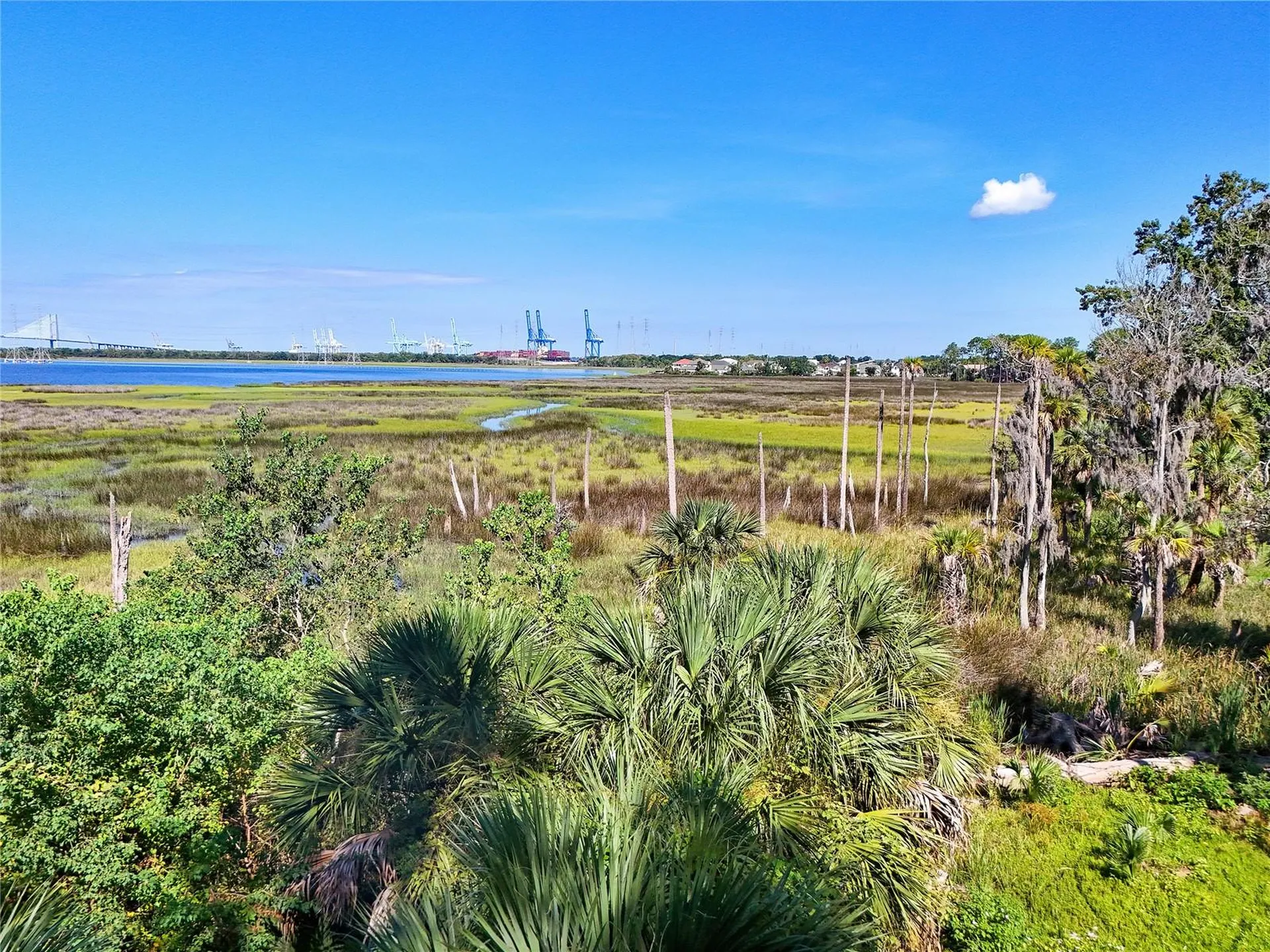 Oak Landings Drive Jacksonville FL 32225