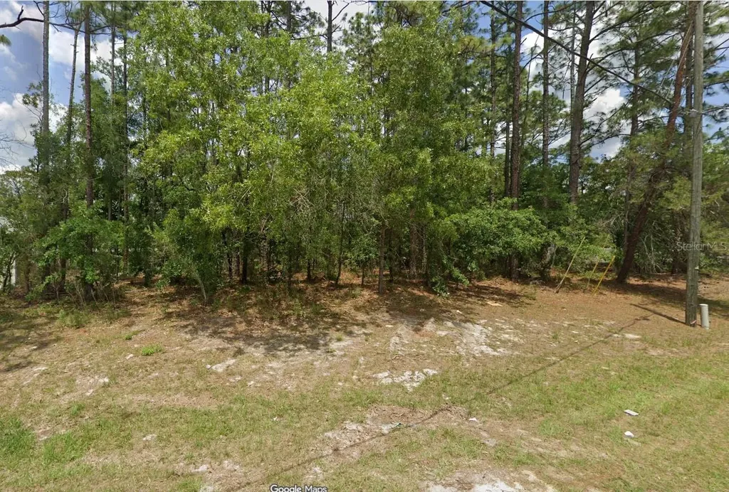 Tbd SW 135th Loop Ocala FL 34473