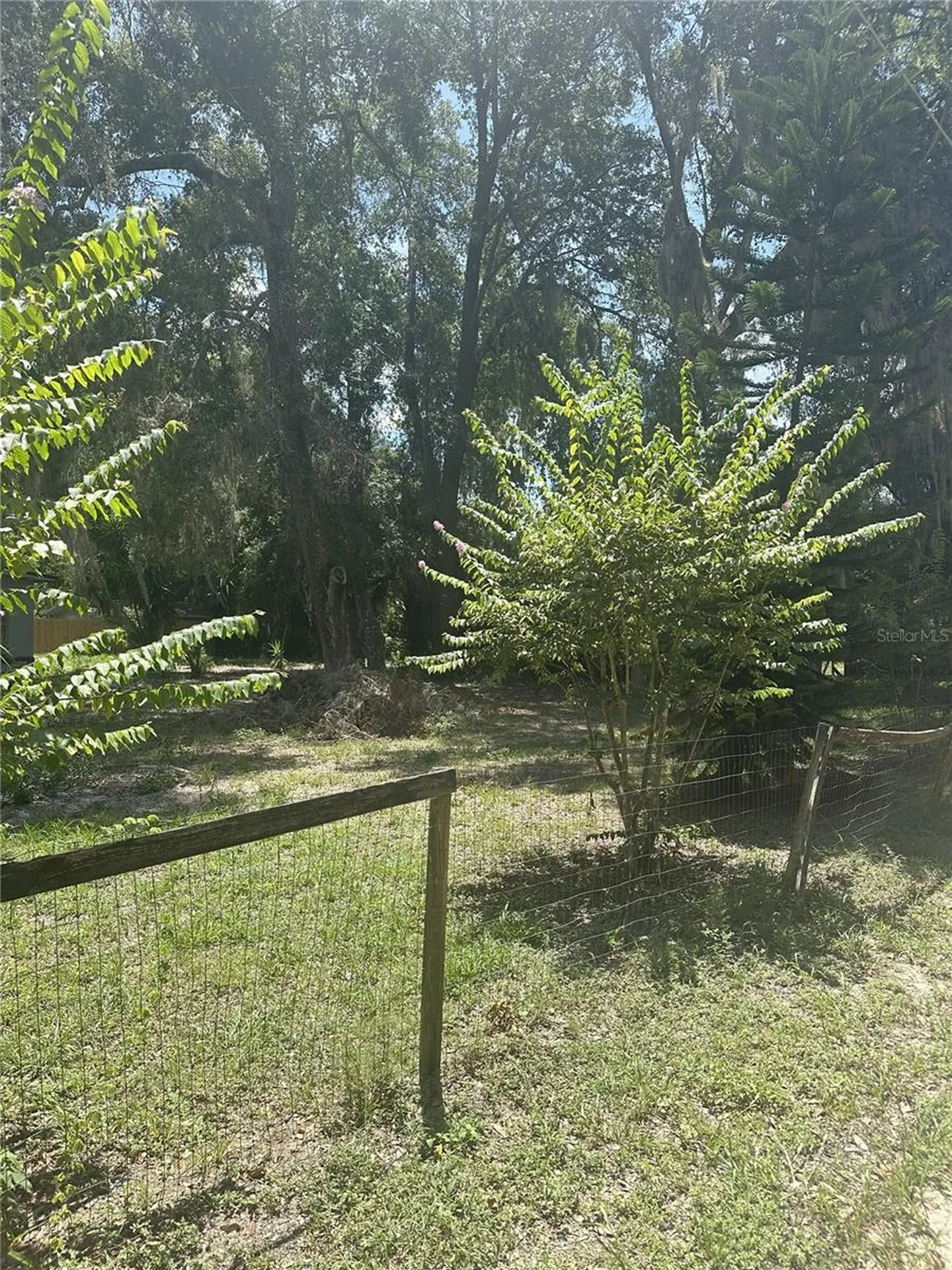 Fern Drive Leesburg FL 34788