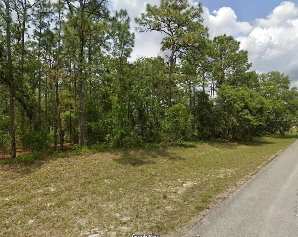 Tbd SW 150th Place Ocala FL 34473