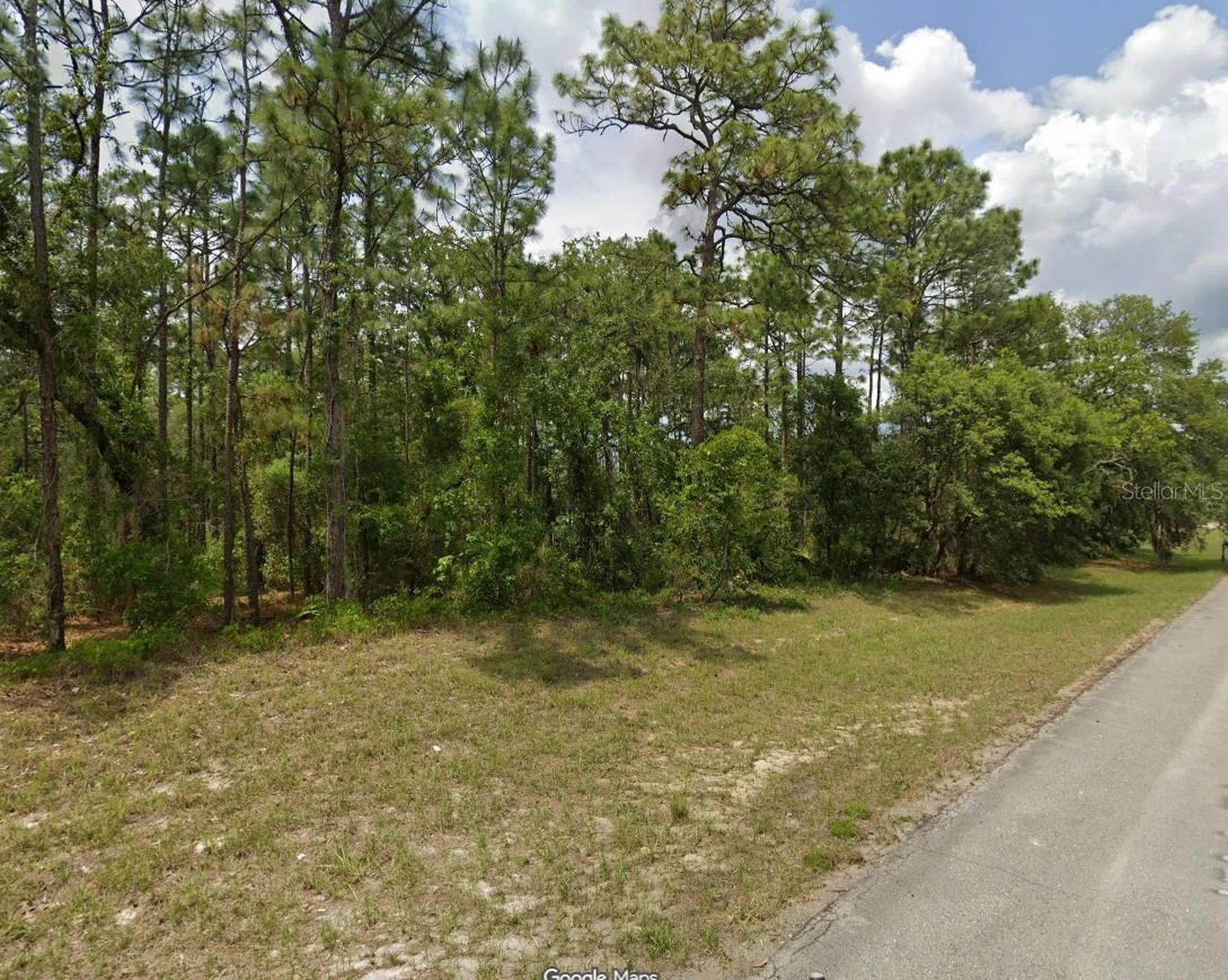 Tbd SW 150th Place Ocala FL 34473