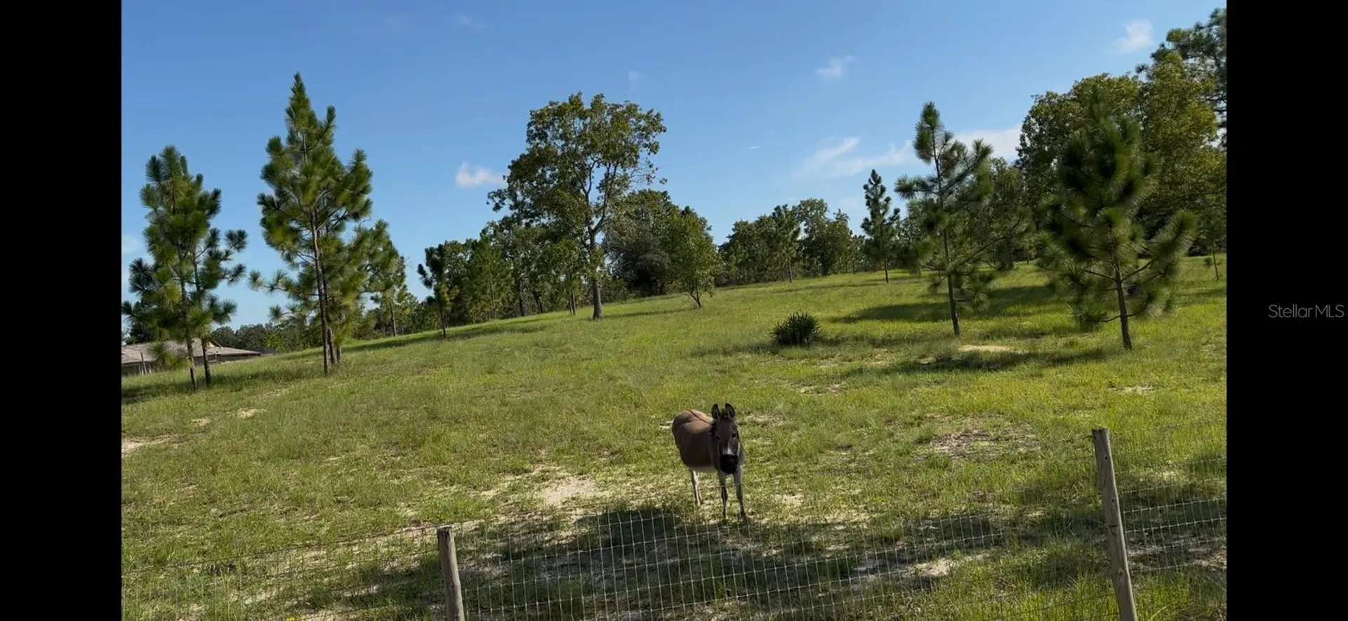 5590 W X Anne Lane Dunnellon FL 34433