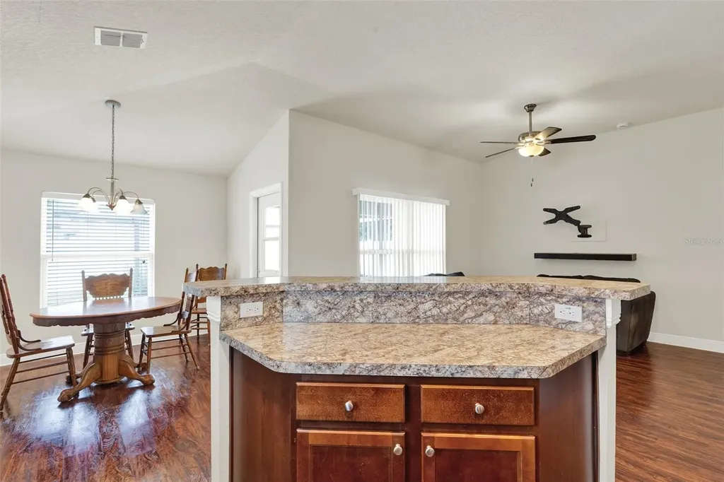 4229 Barnsley Lane Tavares FL 32778