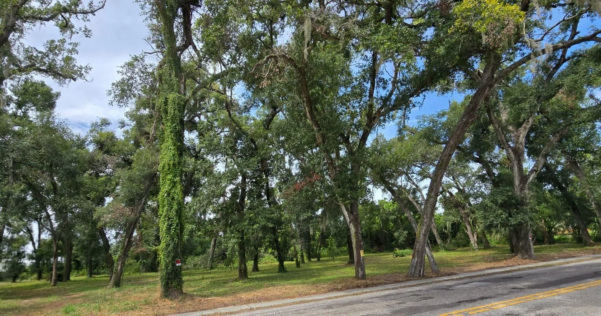 712 Lithia Pinecrest Road Brandon FL 33511